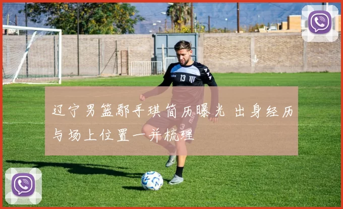 辽宁男篮鄢手琪简历曝光 出身经历与场上位置一并梳理