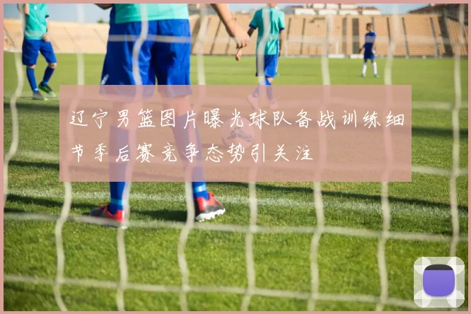 辽宁男篮图片曝光球队备战训练细节季后赛竞争态势引关注