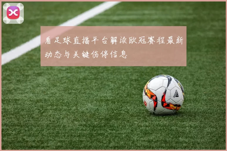 看足球直播平台解读欧冠赛程最新动态与关键伤停信息