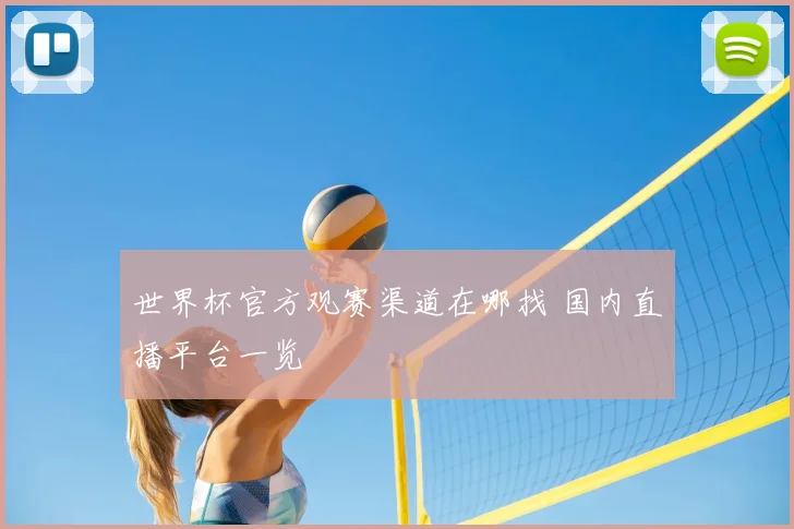 世界杯官方观赛渠道在哪找 国内直播平台一览