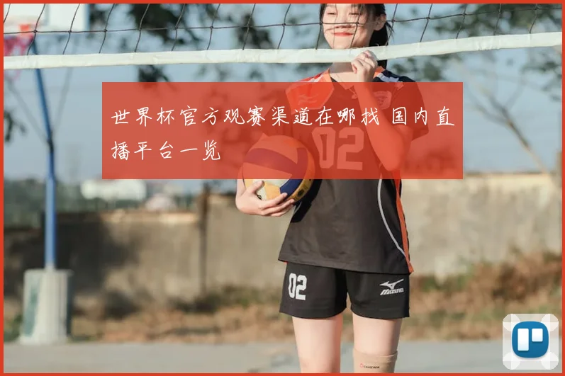 世界杯官方观赛渠道在哪找 国内直播平台一览