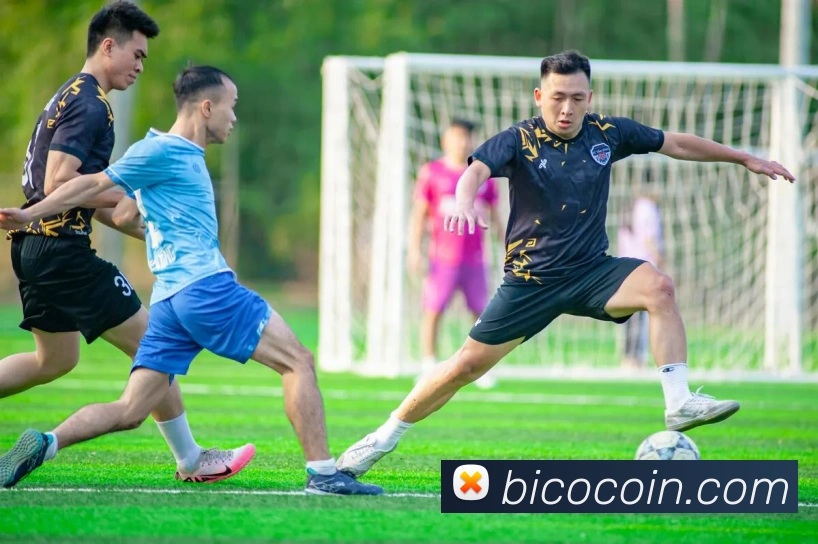 华体会体育官网app赛事直播解说员平台生态图